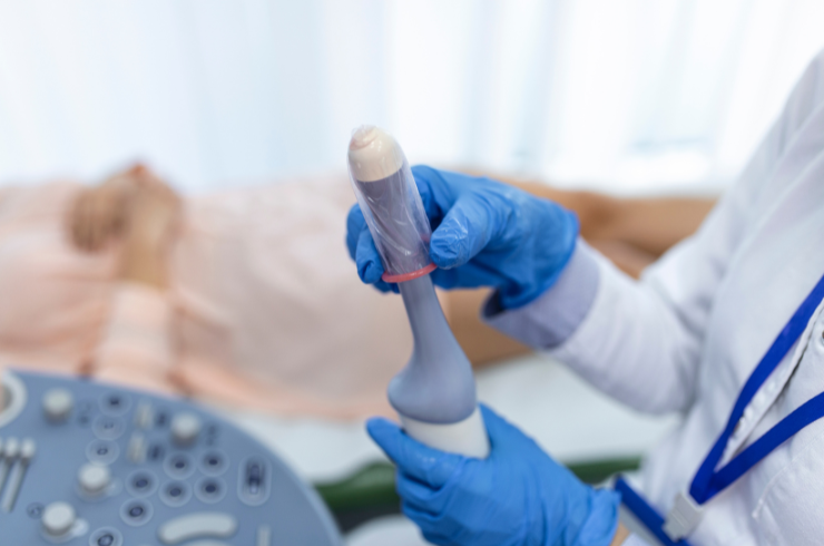 Early Pregnancy Scan